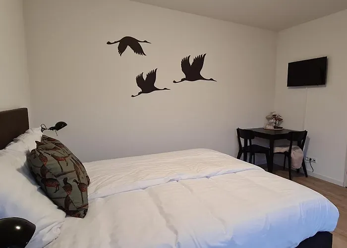 Het Groene Hart 3* Nieuwkoop